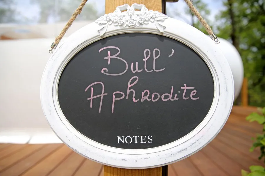 Bull'Aphrodite & Spa à Cahuzac-sur-Vère, photo 6