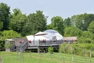 Bulle Ecureuil à Quarré-Les-Tombes, photo 3