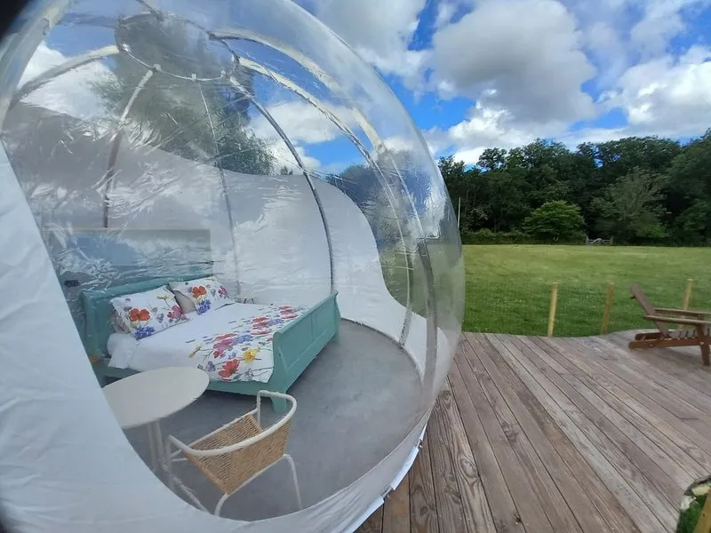 La Bulle des Alpagas à Herry, photo 6
