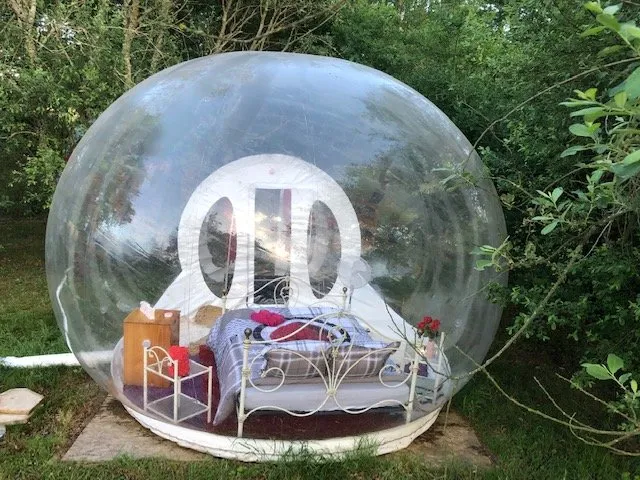 La bulle des 2 arbres de la sagesse & Spa à Ardentes, photo 3