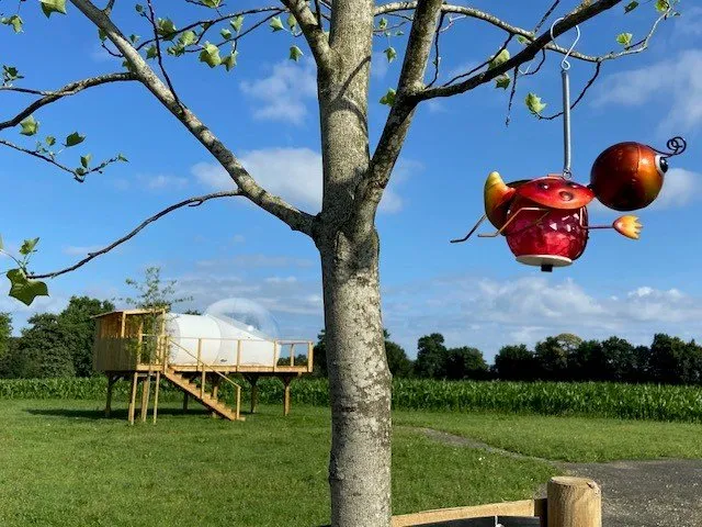 La Bulle de la fée Viviane à Boisgervilly, photo 3