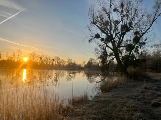 La Bulle de l'étang d'Etat Nature à Magnières, photo 4