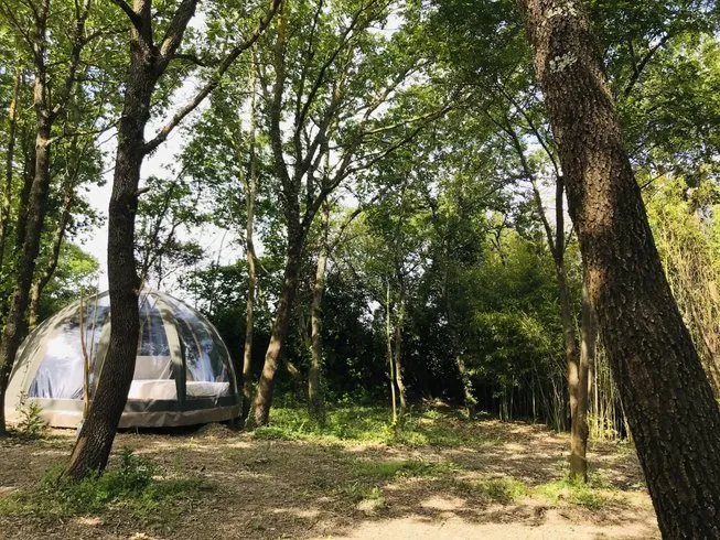 Ô Cocon du Lauragais à Ricaud, photo 6