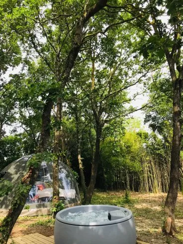 Ô Cocon du Lauragais à Ricaud, photo 7
