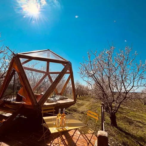La Bulle Ico à Valensole, photo 4