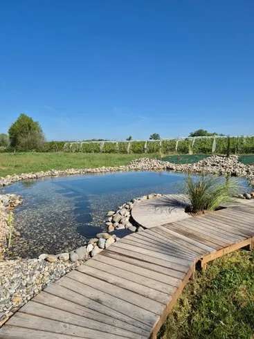 Dôme Shayou à Albias, photo 6