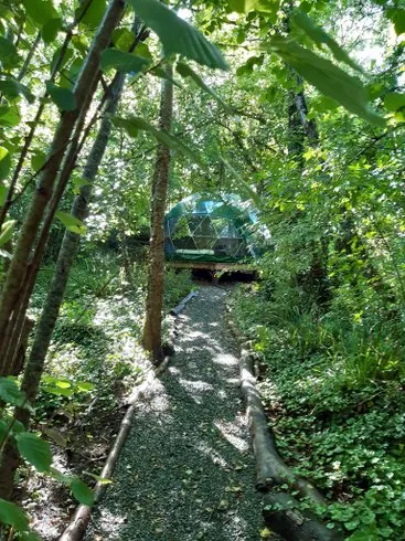 Géode Frêne Doré à Lugaignac, photo 2
