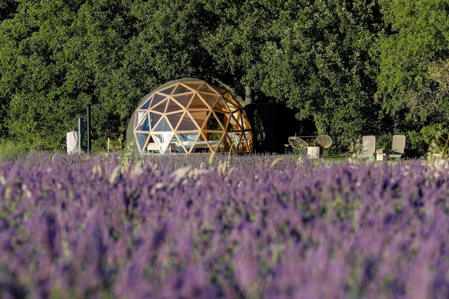 La Bulle du Lavandin, bulle à Aix-en-Provence