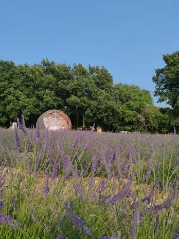 La Bulle du Lavandin à Aix-en-Provence, photo 7