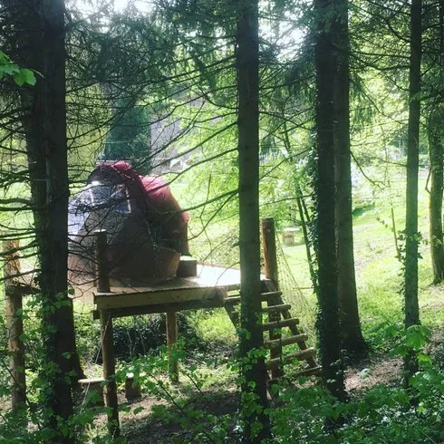 Petite Ourse à Hannonville-sous-les-Côtes, photo 4