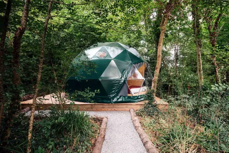 Géode Érable Pourpre à Lugaignac, photo 2