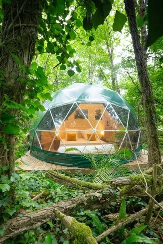 Géode Chêne Émeraude à Lugaignac, photo 2
