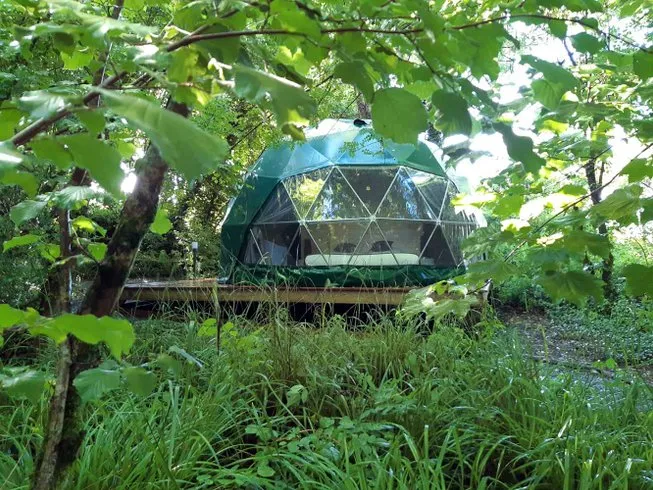 Géode Peuplier Argenté à Lugaignac, photo 4