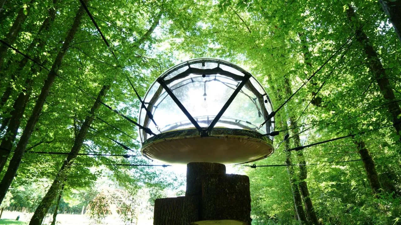 Ô Pays des Bois, bulle à Parmilieu