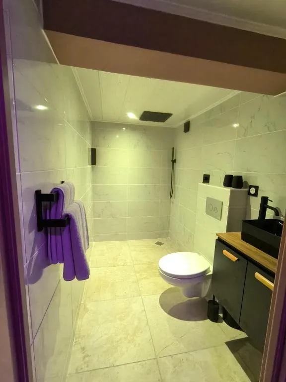Love Room du Moulin à Rimons, photo 3