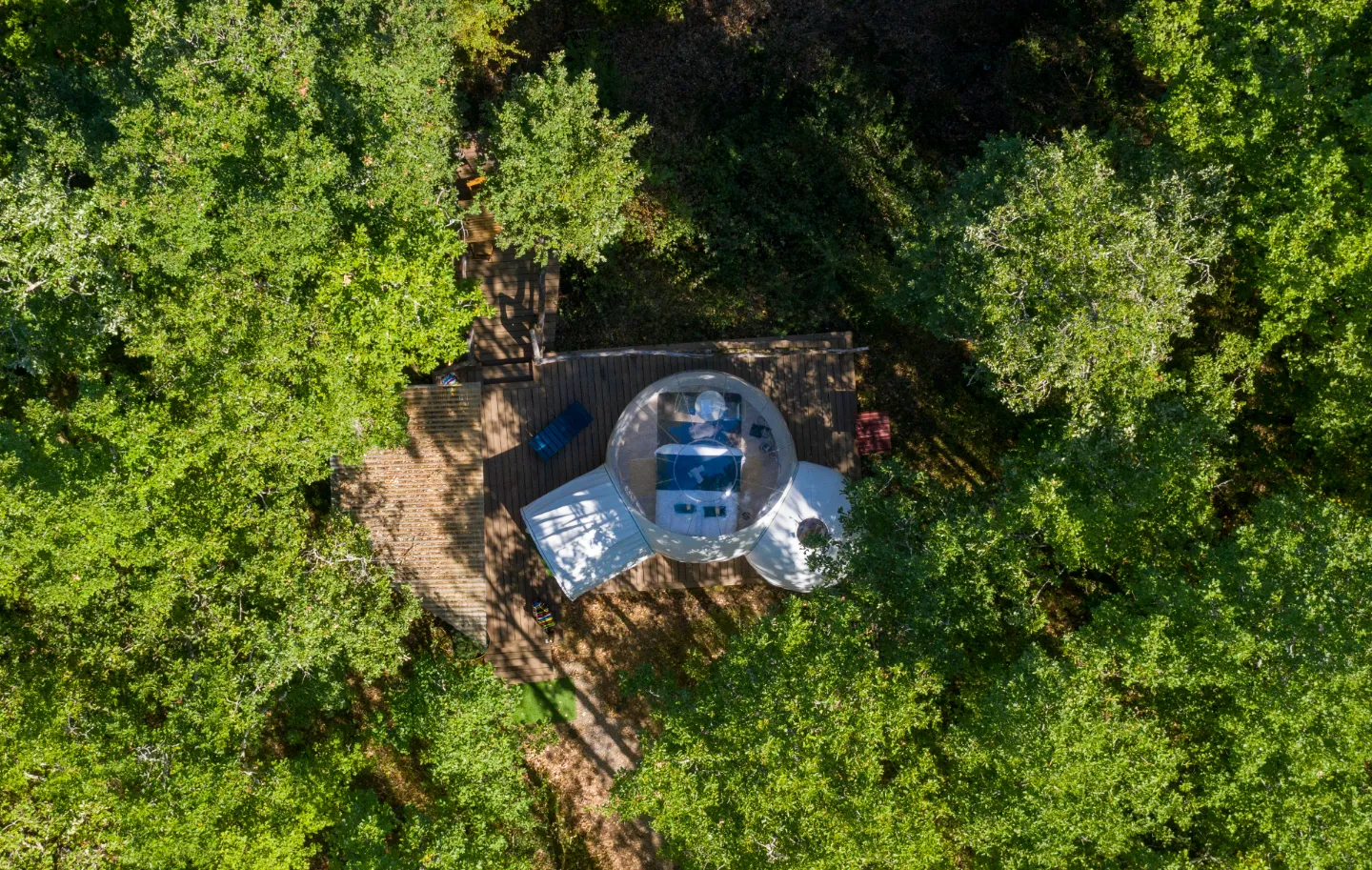 Coeurdebull à Cahuzac-sur-Vère, photo 3