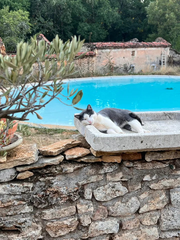 Domaine de Mombret Haut à Duravel, photo 4