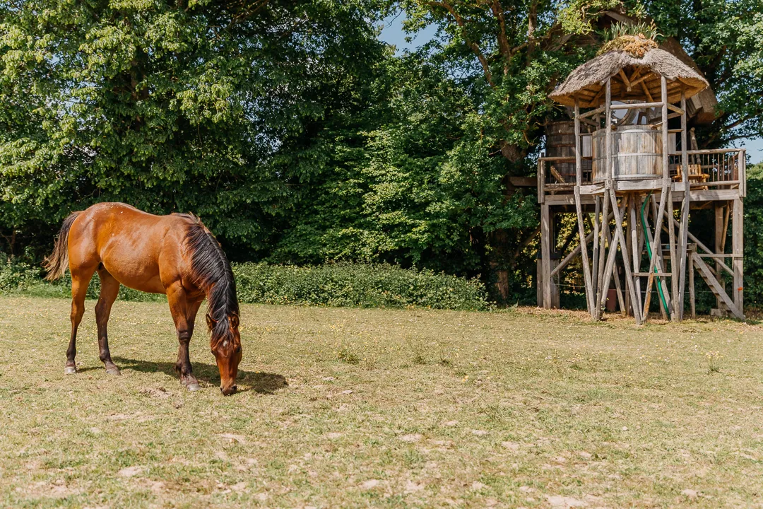 Domaine Arvor à Lanvallay, photo 6