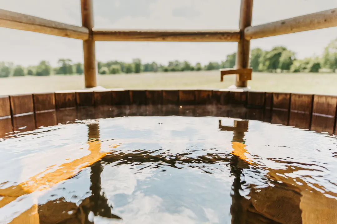 Domaine Arvor à Lanvallay, photo 7
