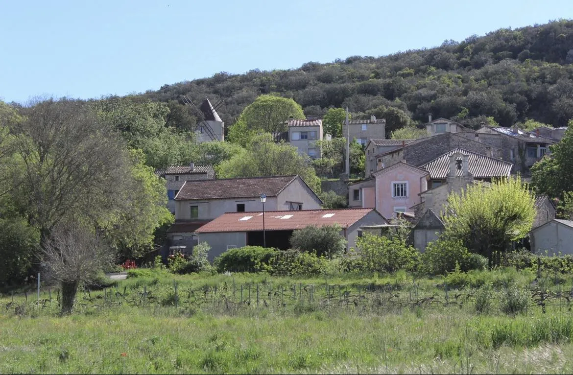 La bulle canopée à Allègre-les-Fumades, photo 2