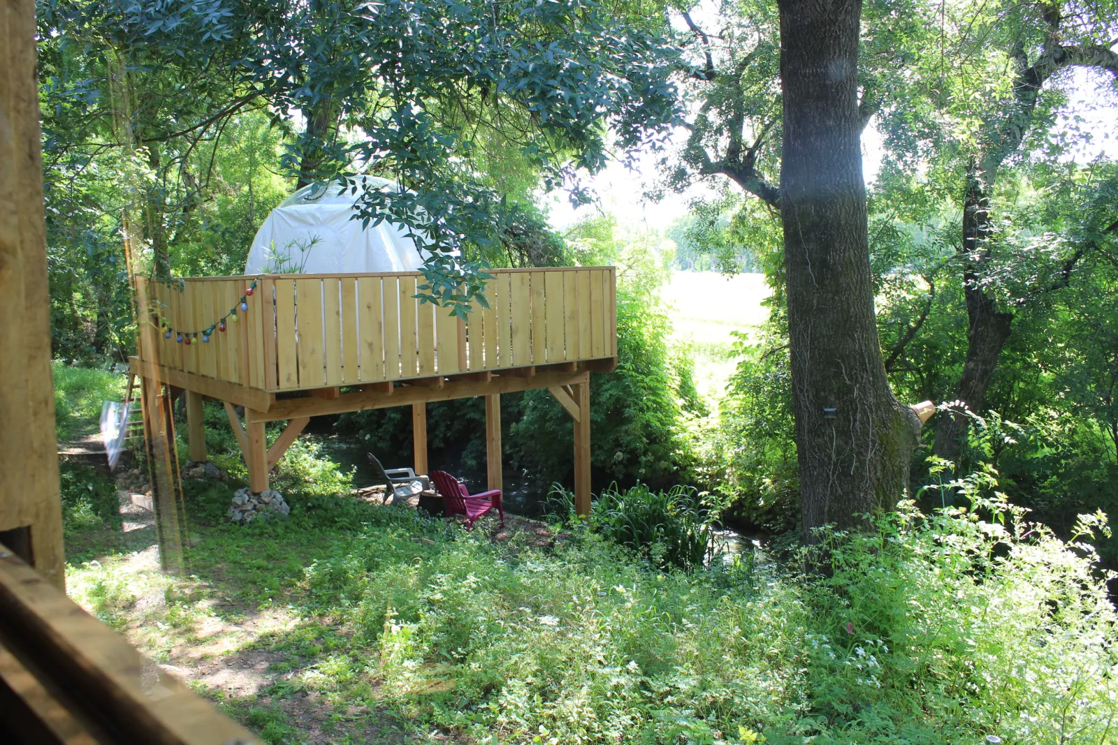 La bulle canopée à Allègre-les-Fumades, photo 6