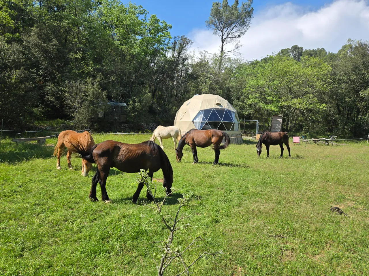 La cabane aux chevaux, bulle à Varages