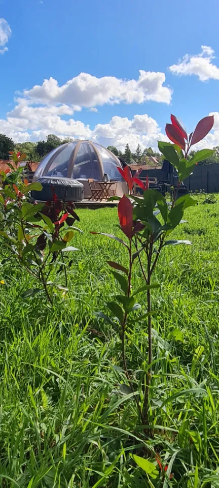 La Sphère étoilée à Ames, photo 7