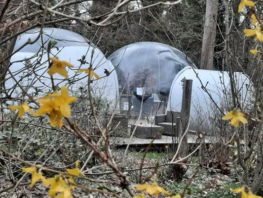 Maison bulle Au Calme Absolu à Lindry, photo 4
