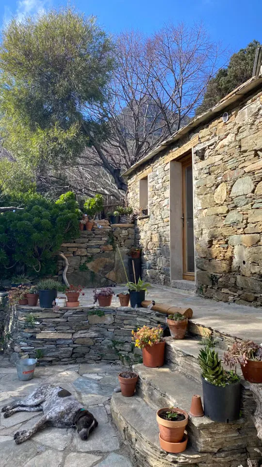Domaine l'Aghja à Vallica, photo 4