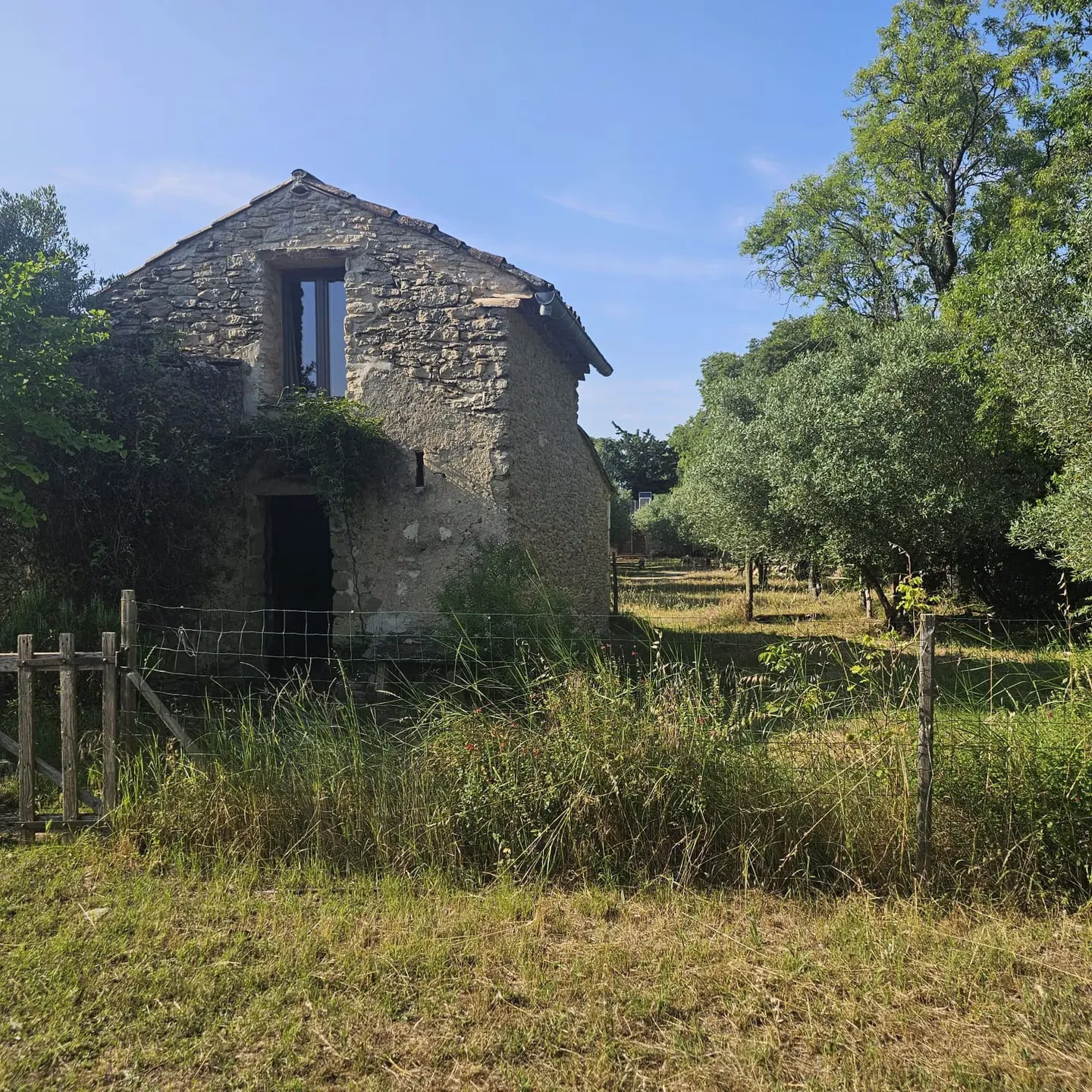 Bulle de Nuit en Provence à Mazan, photo 7