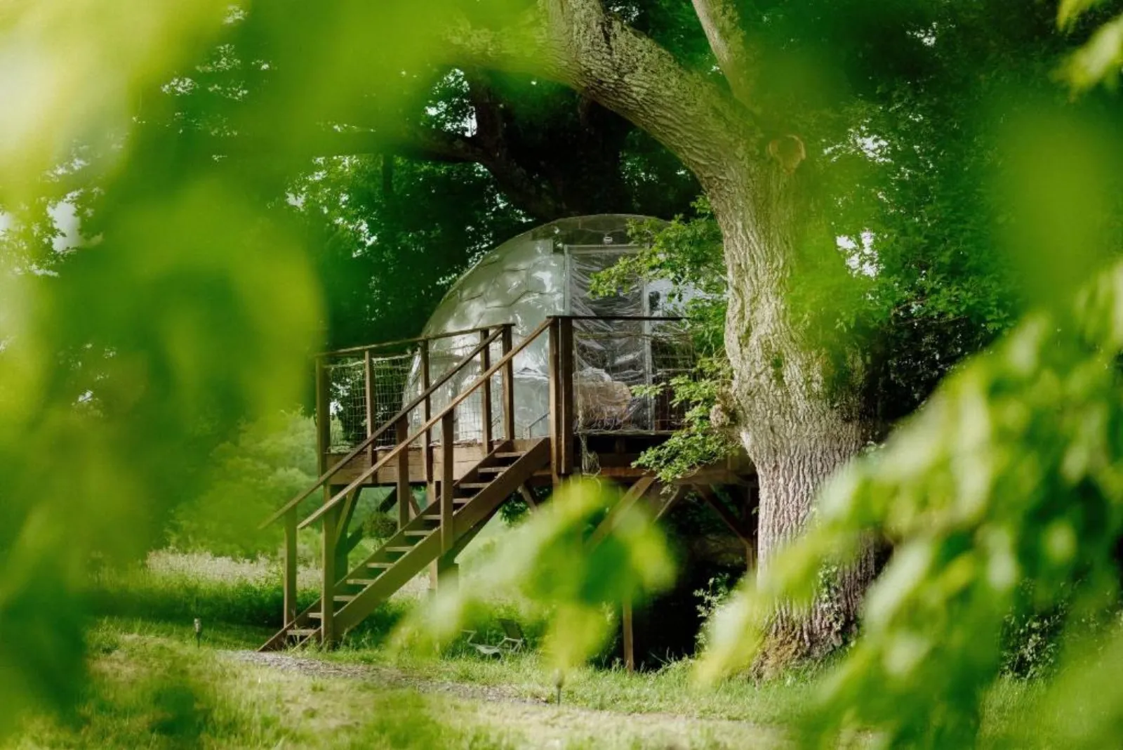 Les bulles perchées de Lartigue à Margouët-Meymes, photo 4