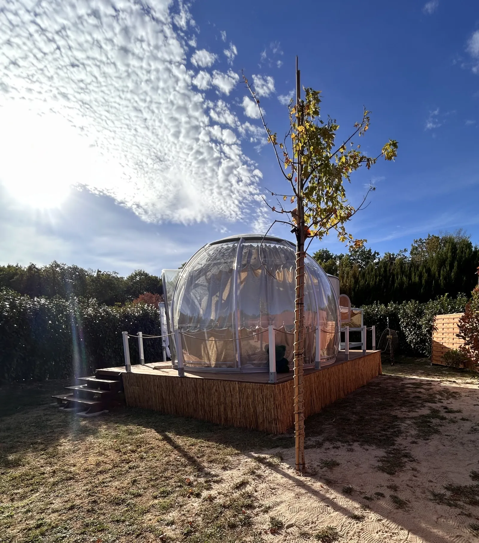 Le Secret des Étoiles à Mur-de-Sologne, photo 6