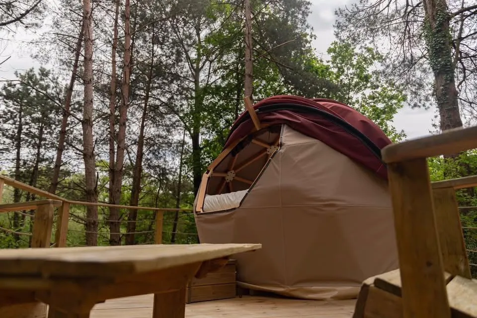 Le Dodôme sous les pins, dôme à Baulon
