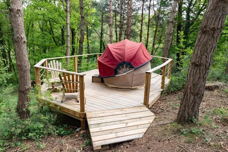 Le Dodôme sous les pins à Baulon, photo 3