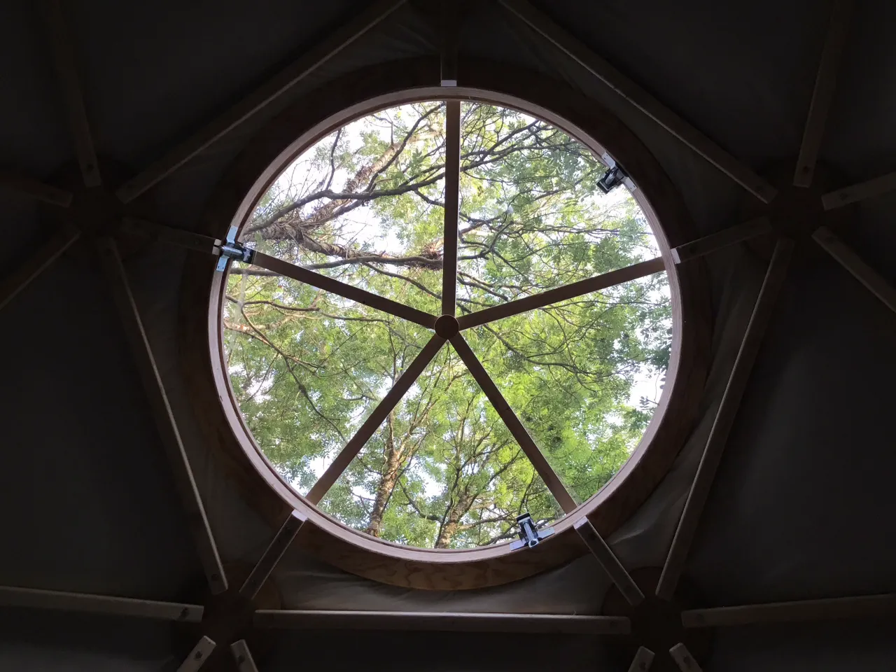 Le Dôme de l'étang à Saint-Pardoux-Soutiers, photo 7