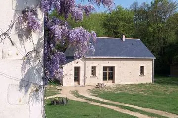 La Noisille à Gennes-Val-de-Loire, photo 4