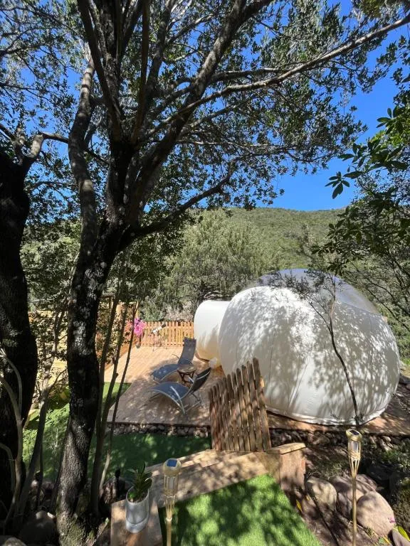 La Bulle du Fangu, bulle à Galéria