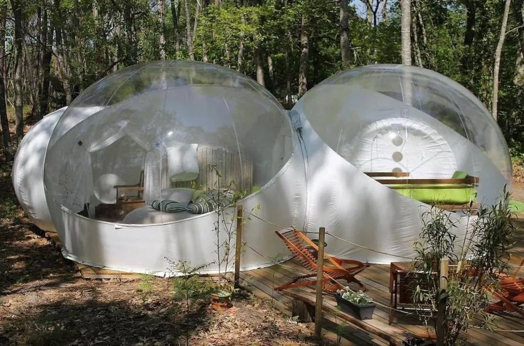 Au Pays des Bulles à Montendre, photo 2