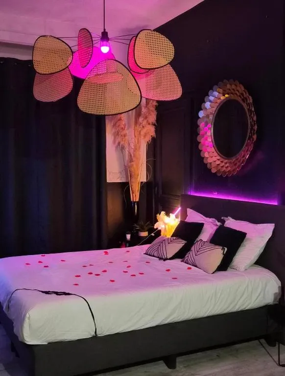 Suite Passion à Saint-Étienne, photo 3