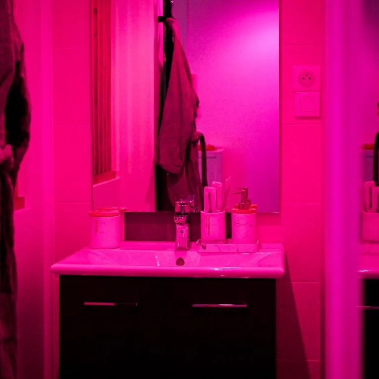 Loveroom Tijugo à Clermont-Ferrand, photo 3