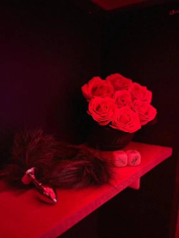 Love Room du 11e à Paris, photo 7