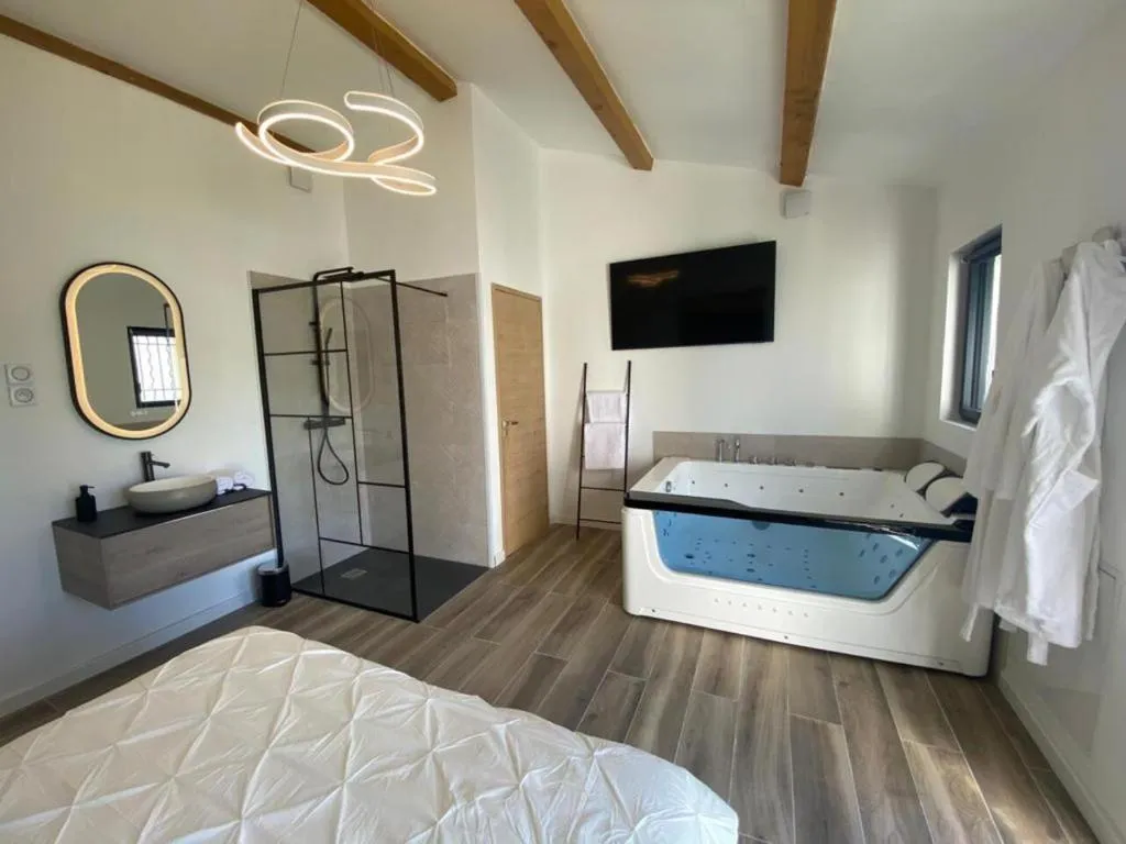 Magnifique Loveroom à Marseille, photo 7