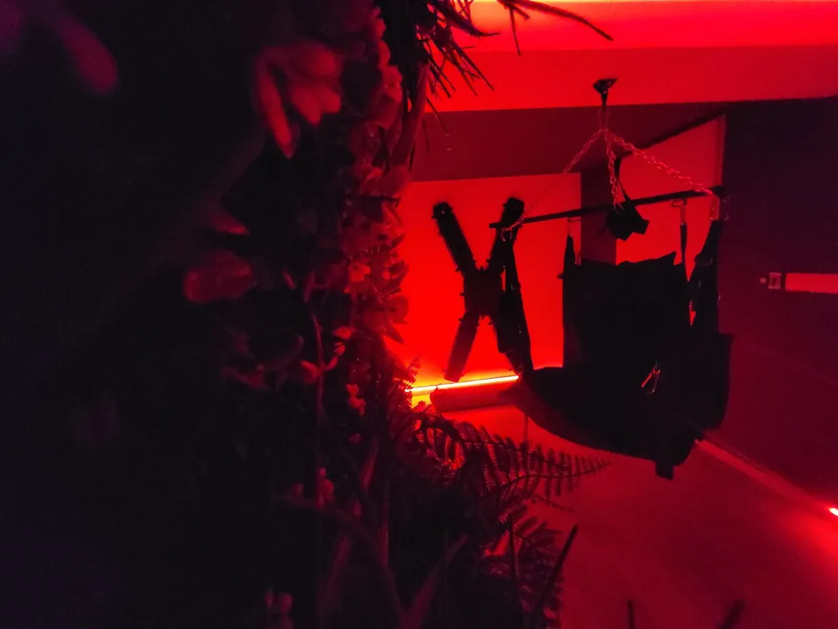 Suite Rouge Désir à Peyrins, photo 6