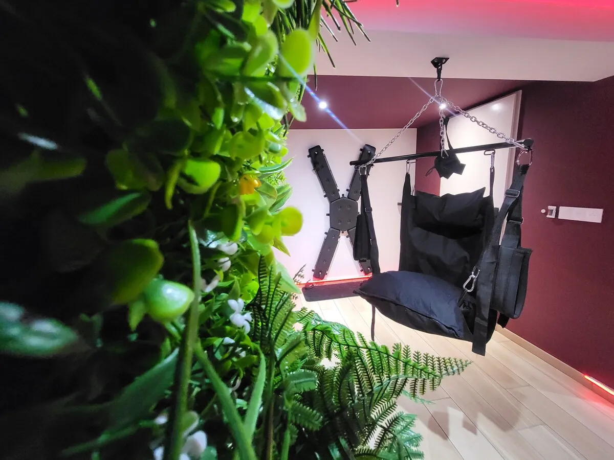 Suite Rouge Désir à Peyrins, photo 7