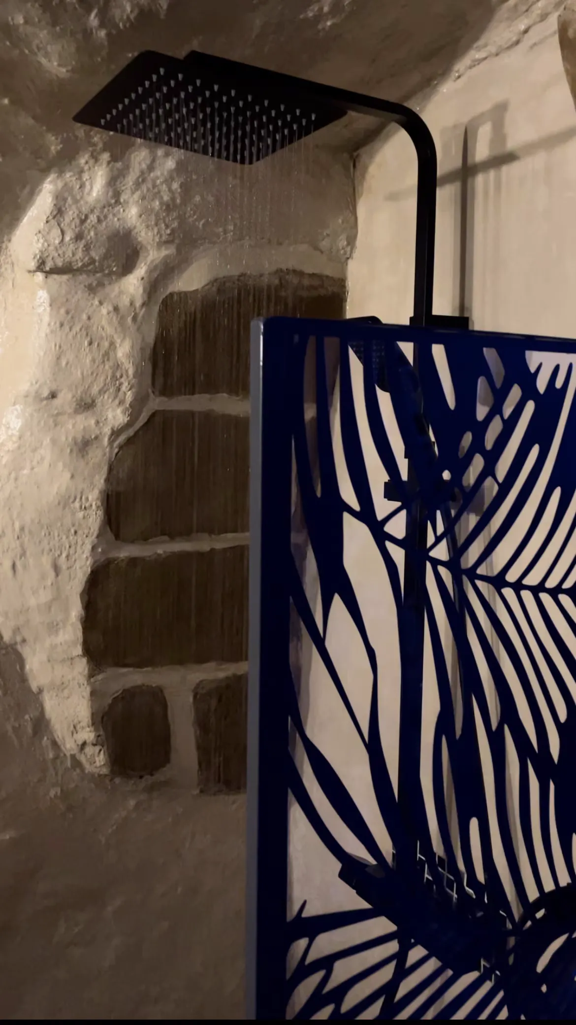 Suite L'Oriental à Guilherand-Granges, photo 2