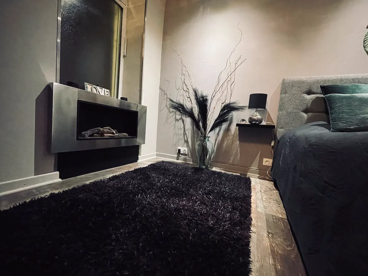 Suite L'Oriental à Guilherand-Granges, photo 6