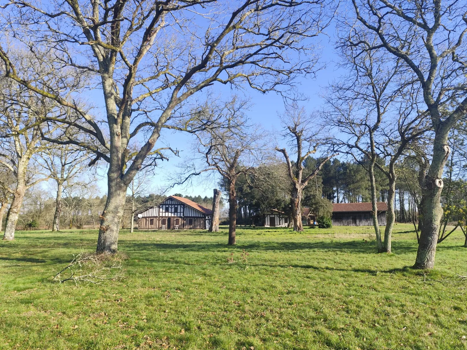 Lou'bel Air à Castets, photo 6