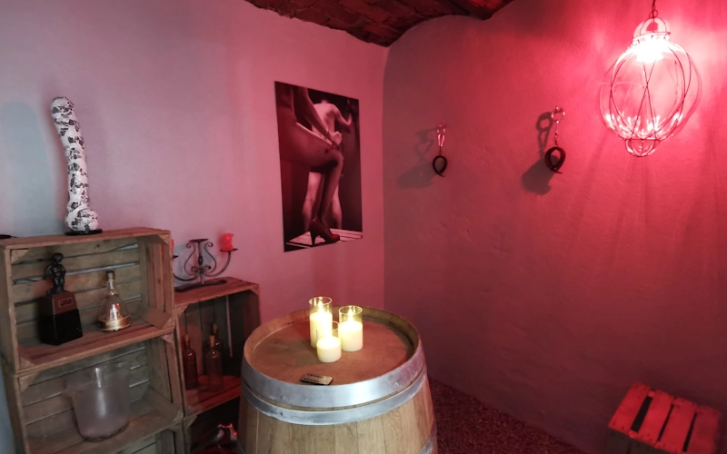 Love Room Ozé à Saint-Jean-Saint-Maurice-sur-Loire, photo 4