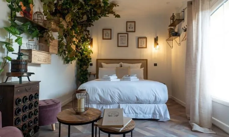 Suite Le Chai à Roquebrune-sur-Argens, photo 4
