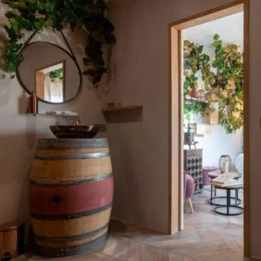 Suite Le Chai à Roquebrune-sur-Argens, photo 6